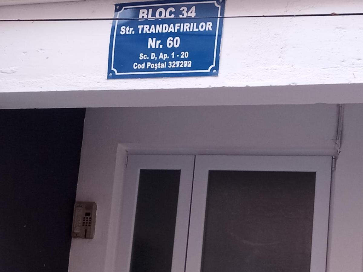 Apartament Nectaria 바일레헤르쿨라네 외부 사진